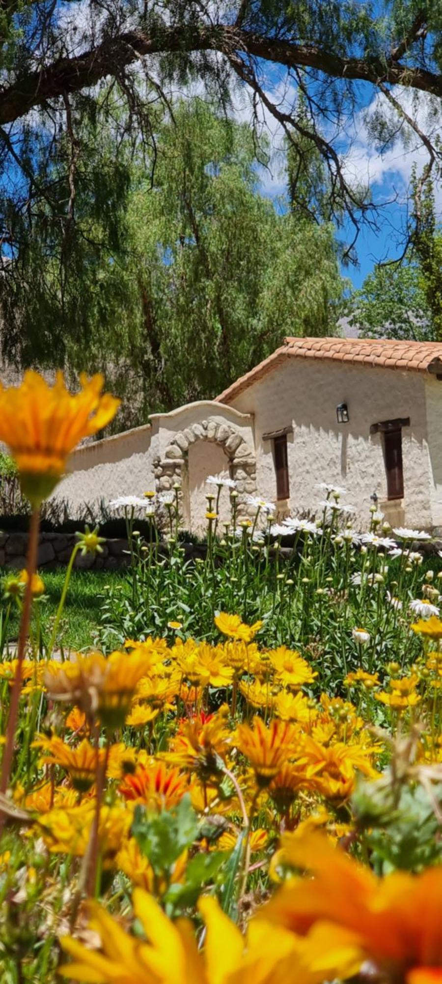 Villa El Molino de Cachí Exterior foto